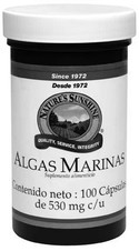 Algas Marinas